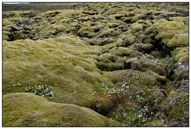 islande sable de Myrdalur 3314 (Small).jpg